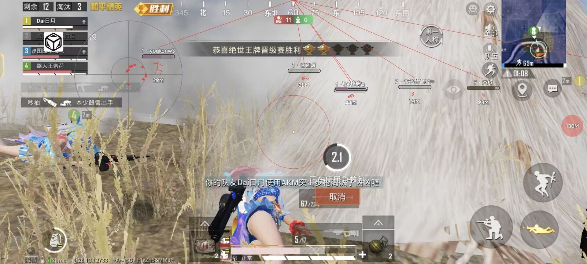 和平精英辅助【神眸】
