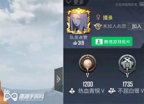 和平精英「路易威登」外挂