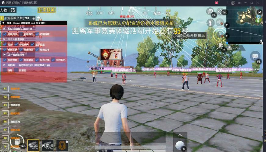 和平精英「路易威登」外挂